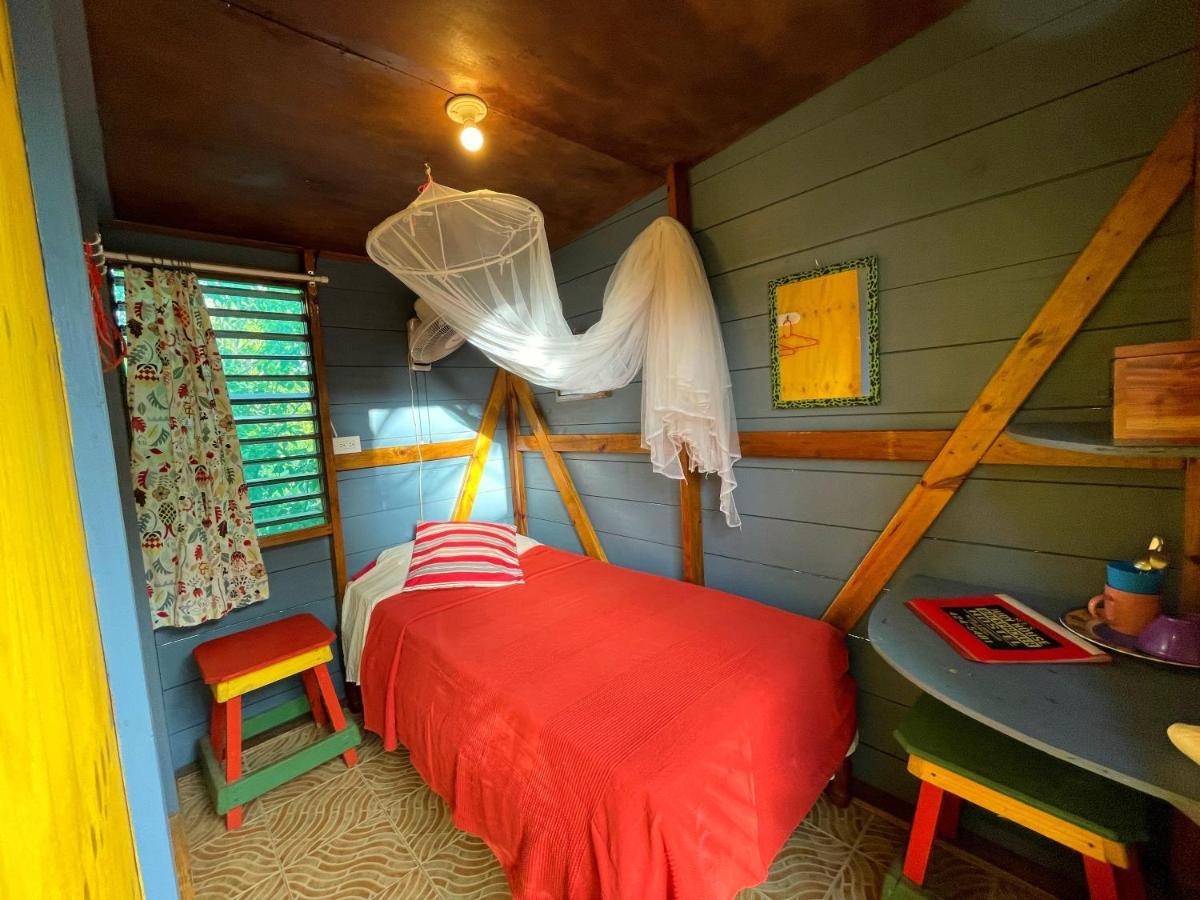 Budget Single Room
