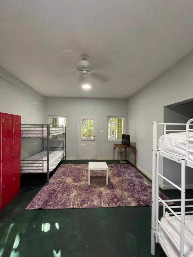 Bed in 6-Bed Mixed Dormitory Room