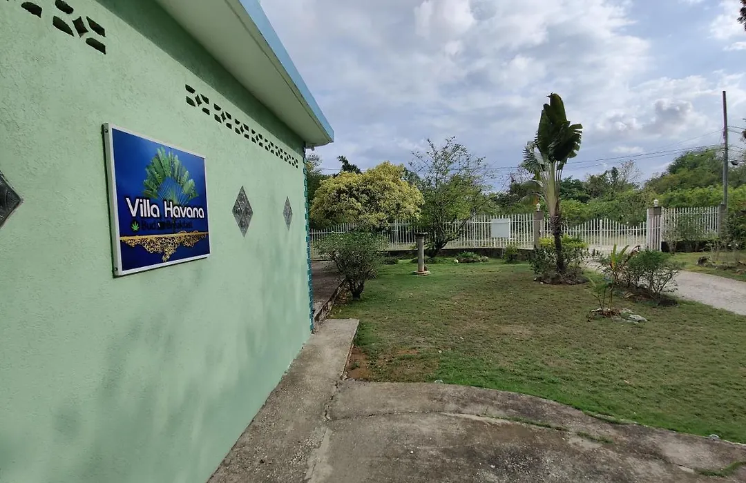 Villa Havana Negril-1