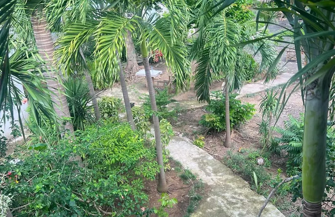 T&T - Tatty And Tony Guesthouse-1