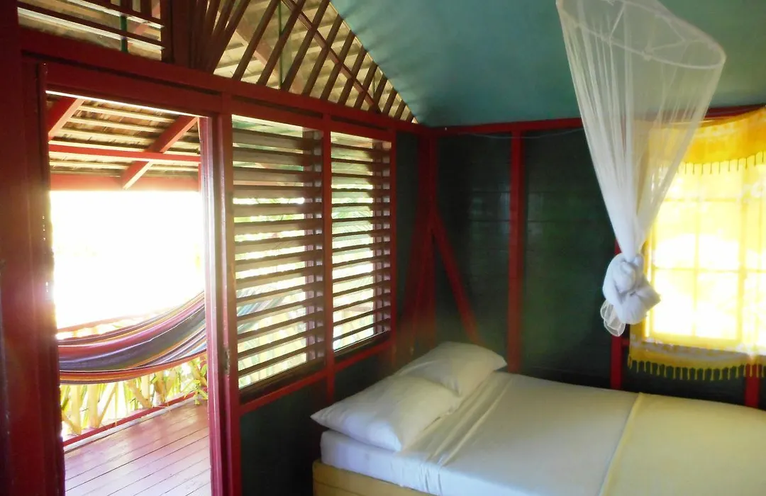 Banana Shout Resort-1