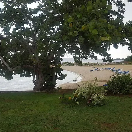 Negril Condo By The Beach Apt. 194 Point Village-2