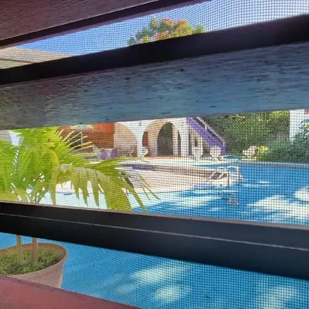 Purple Haze Resort-2
