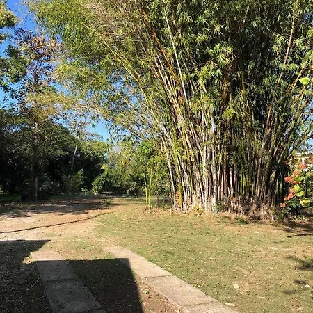 Long-Term Negril Flat - 60 Days Or More Only-2