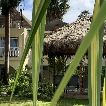 King Suite At Oceanview Resort In Jamaica - Enjoy 7 Miles Of White Sand Beach!-3
