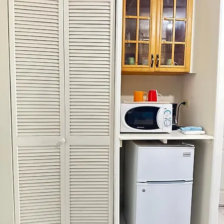 Shades Of Summer Apartments In Negril With Kitchen-3