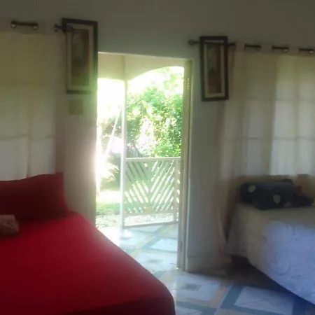 T&T - Tatty And Tony Guesthouse-2