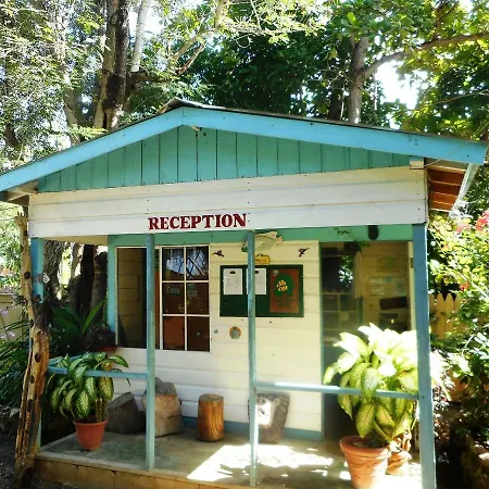 Banana Shout Resort-2