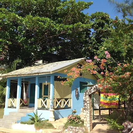 Banana Shout Resort-3