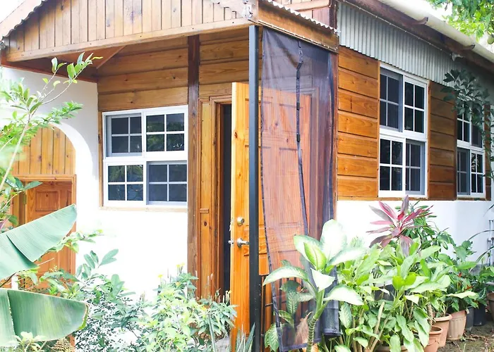 Haustierfreundliches Van Villa Guesthouse Negril